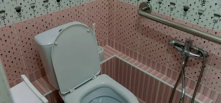 Meeting Diverse Needs With Accessible Restroom Solutions in Balch Springs, TX