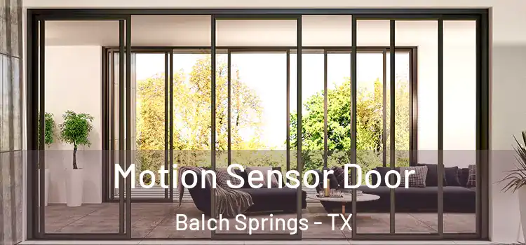 Motion Sensor Door Balch Springs - TX