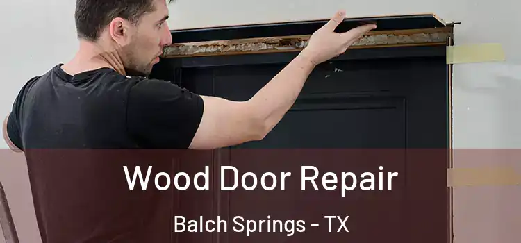 Wood Door Repair Balch Springs - TX